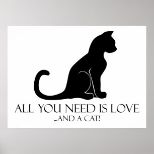 Poster Amor e um gato
