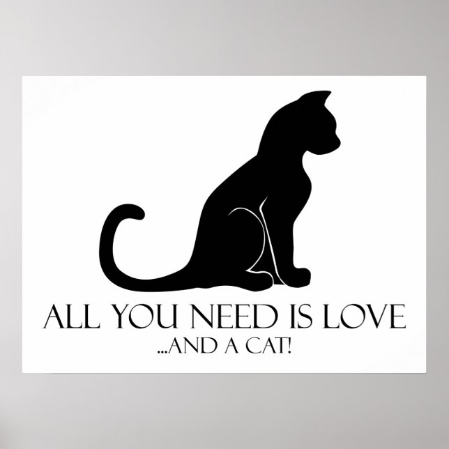 Poster Amor E Um Gato (Frente)