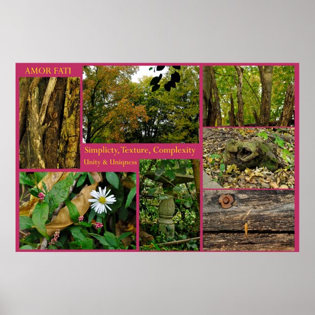 Poster Amor Fati (Frente)