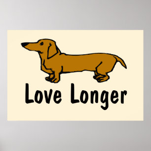 Poster Amor Longer, Dachshund,