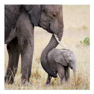 Póster Amor maternal