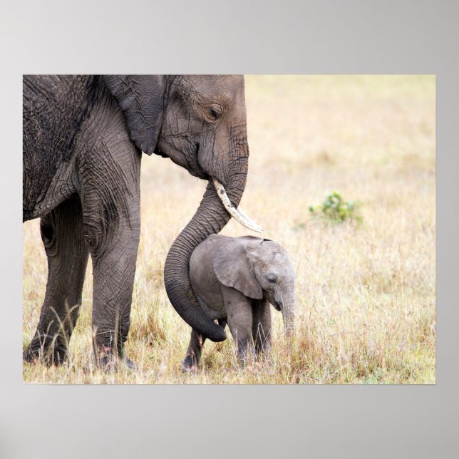 Poster Amor maternal (Frente)