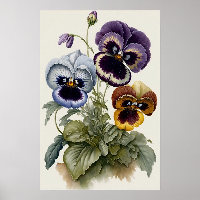 Poster Amor-Perfeito Arte Floral de Amor-Perfeito Impress (Frente)
