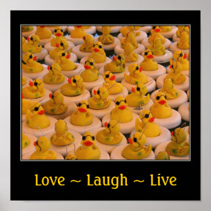 Poster Amor Ria Patos De Borracha Vivos Inspiração