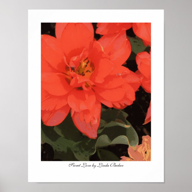 Póster Amor secreto por Linda Becker (Frente)