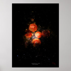 Póster Amor universal