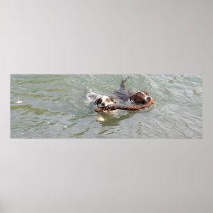 Poster amor verdadeiro