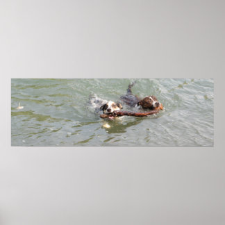 Poster amor verdadeiro