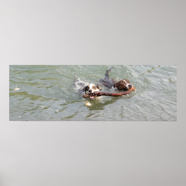 Poster amor verdadeiro (Frente)