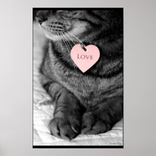 Poster Amor Verdadeiro