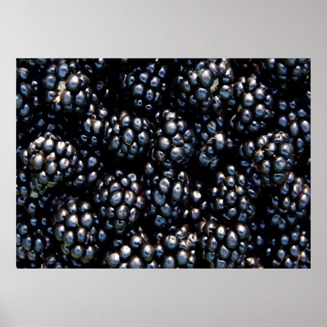 Poster Amoras (Frente)