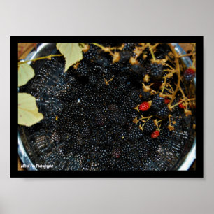 Poster Amoras em Escorredor