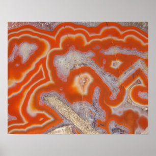 Póster Amostra de agato