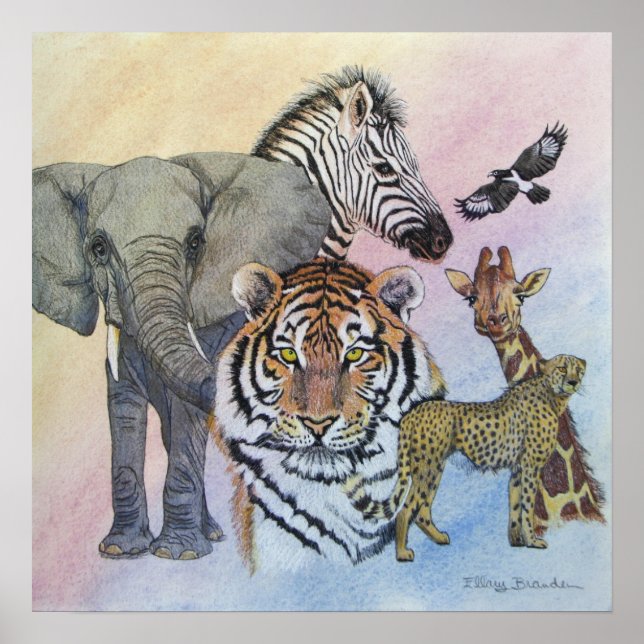 Póster Amostra Safari (Frente)