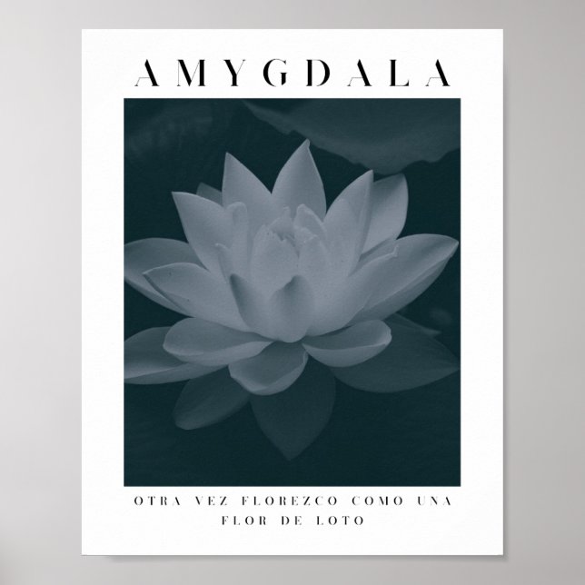 Poster AMYGDALA - LOTUS FLOWER, Paleta de Cinzas, Vintage (Frente)