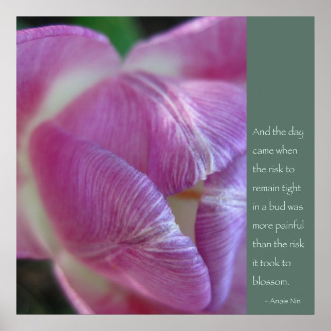 Póster Anais Nin Quote (Frente)