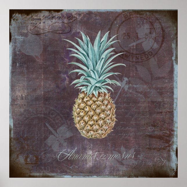 Poster Ananas comosus (Frente)