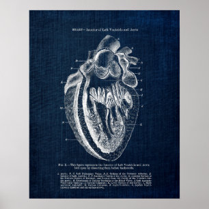 Poster Anatomia cardíaca Art n.o 3 Interior View