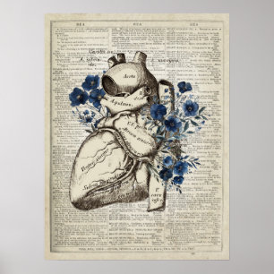 Poster Anatomia cardíaca com arte dicionária de flores az