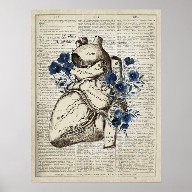 Poster Anatomia cardíaca com arte dicionária de flores az (Frente)