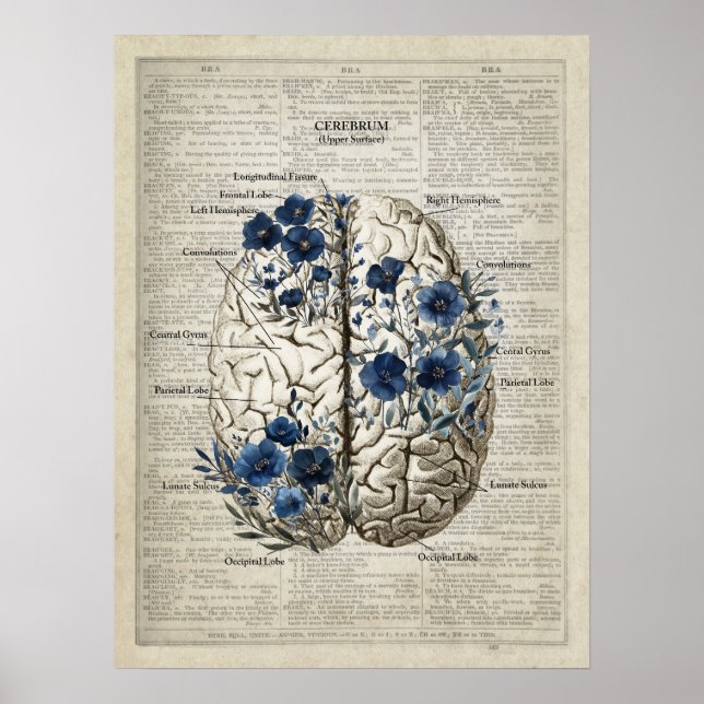 Poster Anatomia cerebral Arte Floral Azul (Frente)