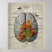 Anatomia cerebral com borboletas e flores