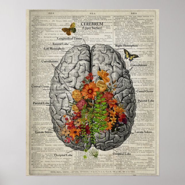 Poster Anatomia cerebral com borboletas e flores (Frente)