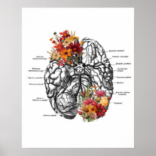 Poster Anatomia cerebral Flores Arte Anatômica