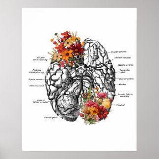 Poster Anatomia cerebral Flores Arte Anatômica