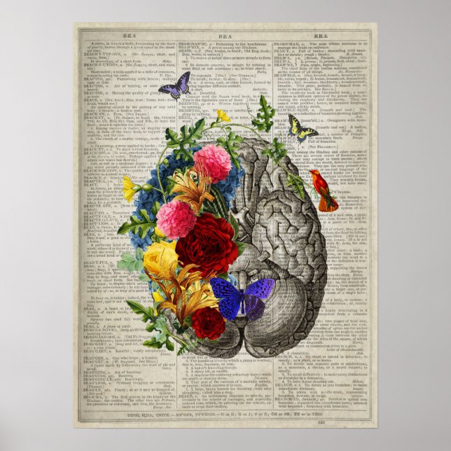 Poster Anatomia cerebral Flores de beija-flores (Frente)