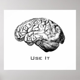 Póster Anatomia cerebral - Use-a