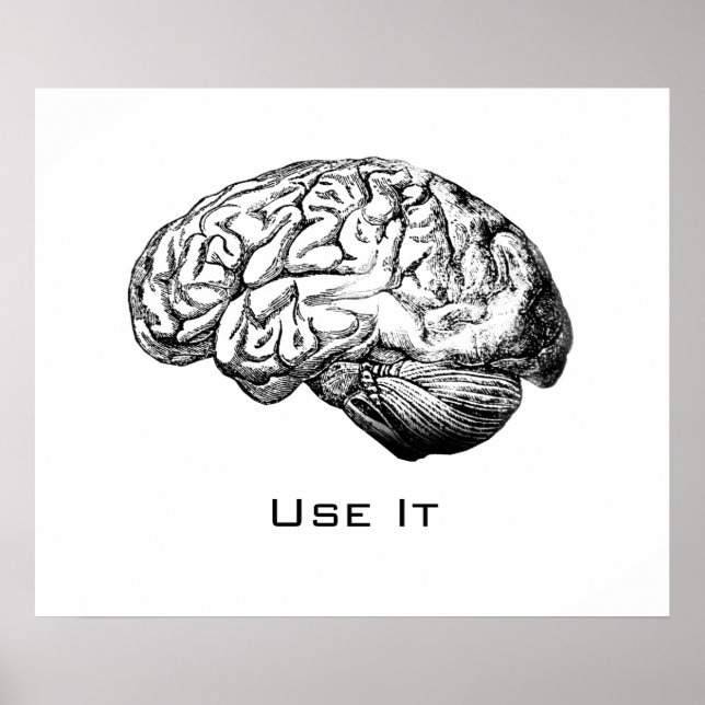 Póster Anatomia cerebral - Use-a (Frente)