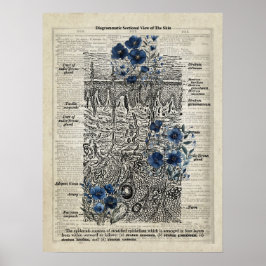Poster Anatomia da pele Blue Floral Vintage Dictionary Ar