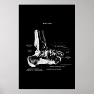 Poster Anatomia das articulações Decoração ortopédic