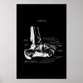 Poster Anatomia das articulações do anacol Decor ortopédi