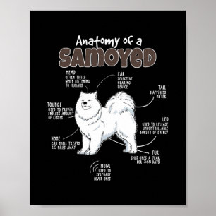 Poster Anatomia de Samoyed for Peles Mamãe Papá ama Cães