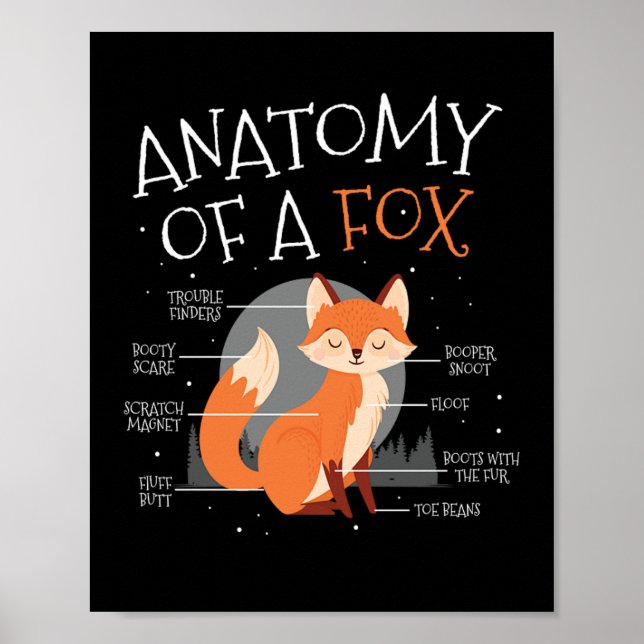 Poster Anatomia De Um Animal Da Floresta De Raposa (Frente)