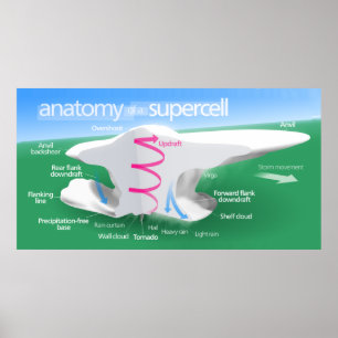 Póster Anatomia de um diagrama da tempestade do Supercell