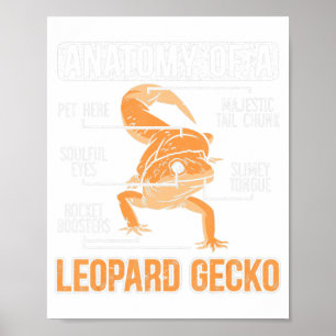 Poster Anatomia De Um Rep Animal Lizard Do Lover Gecko Le