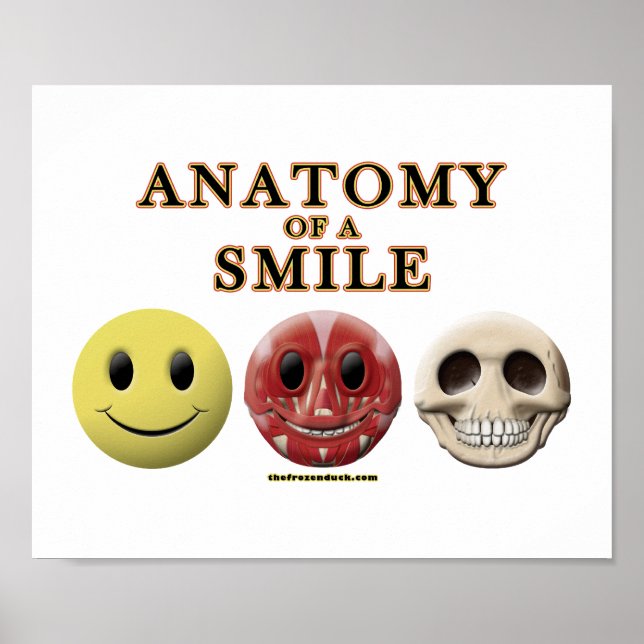 Poster Anatomia de um Sorriso (Frente)