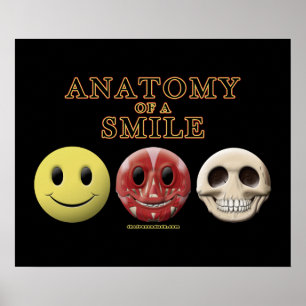 Poster Anatomia de um sorriso