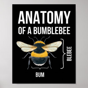 Poster Anatomia De Uma Citação De Humor Sarcástico Engraç