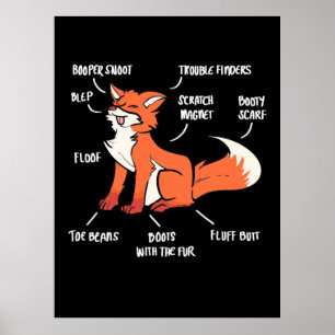 Poster Anatomia de uma Raposa