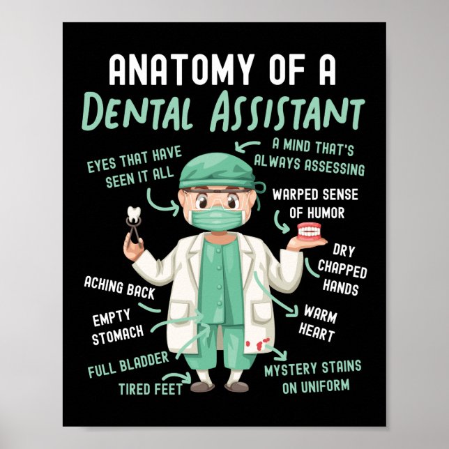 Poster Anatomia dentária De Um Adolescente (Frente)
