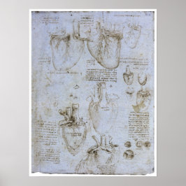 Poster Anatomia do Coração Humano, Leonardo da Vinci