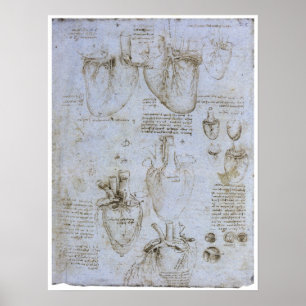 Poster Anatomia do Coração Humano, Leonardo da Vinci