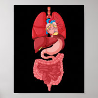 Anatomia do diagrama interno do órgão do Halloween