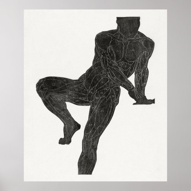 Poster Anatomia do Homem 2 (Frente)