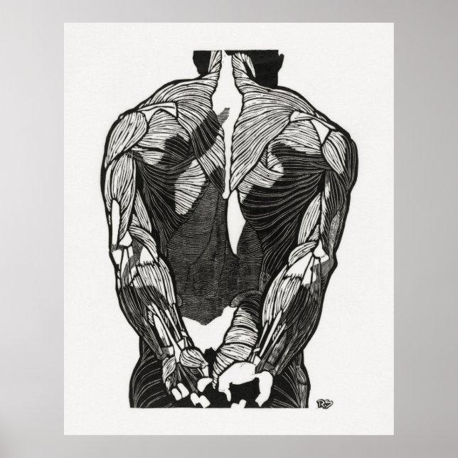 Poster Anatomia do Homem 5 (Frente)