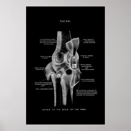 Poster Anatomia do joelho Decoração da Parede Médica